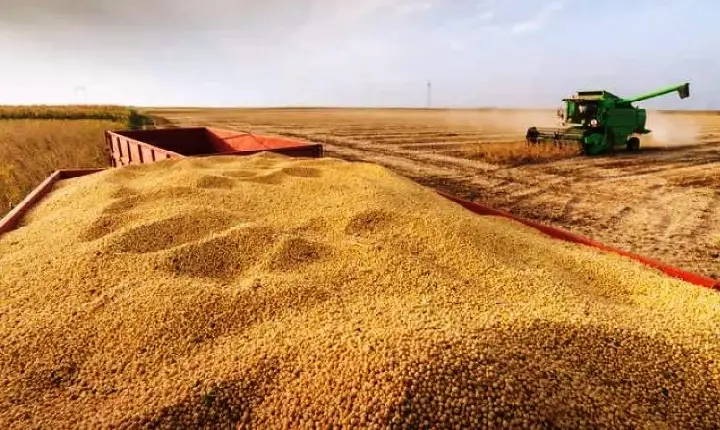 AGRO BRASILEIRO ATINGE RECORDE DE US$ 12 BILHÕES NAS EXPORTAÇÕES EM FEVEREIRO