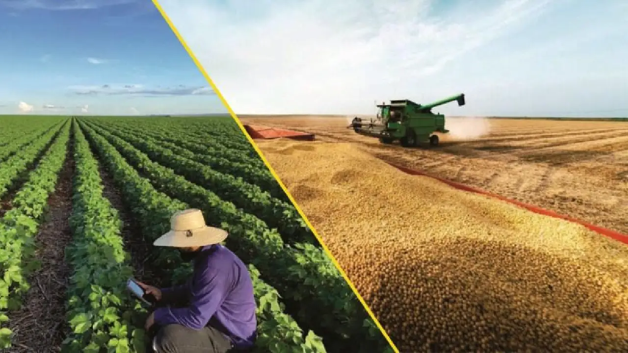 BRASIL ESTÁ PRÓXIMO DE ASSUMIR O POSTO DOS EUA DE MAIOR EXPORTADOR AGRÍCOLA DO MUNDO