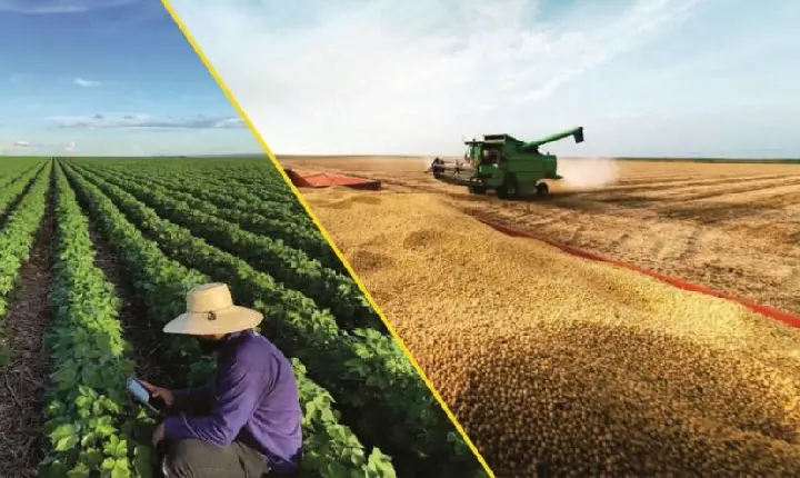 BRASIL ESTÁ PRÓXIMO DE ASSUMIR O POSTO DOS EUA DE MAIOR EXPORTADOR AGRÍCOLA DO MUNDO
