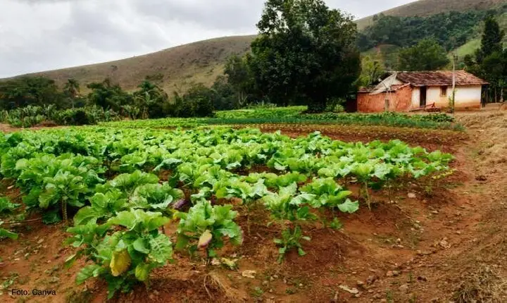 COMISSÃO DA CÂMARA APROVA PROJETO QUE DEFINE CHÁCARA COMO PROPRIEDADE RURAL