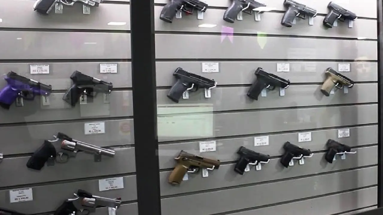 COMISSÃO DA CÂMARA DOS DEPUTADOS APROVA SAQUE DO FGTS PARA COMPRA DE ARMA DE FOGO