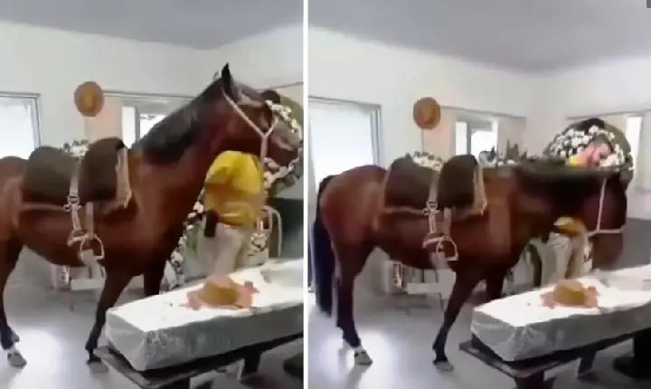 ÉGUA RELINCHA AO SE DESPEDIR DO DONO EM VELÓRIO E EMOCIONA FAMÍLIA
