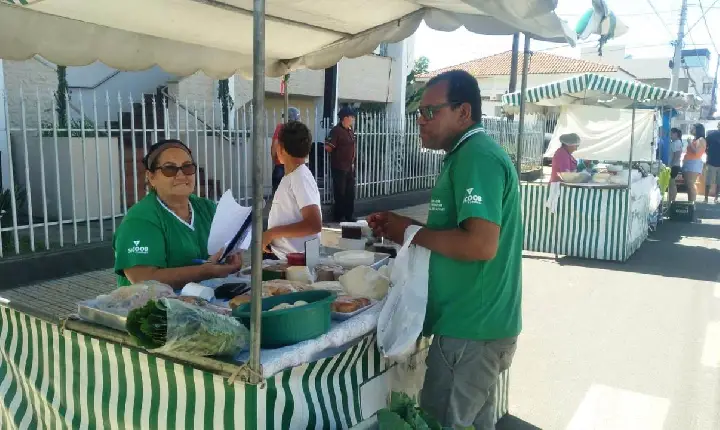 Galeria de Imagem