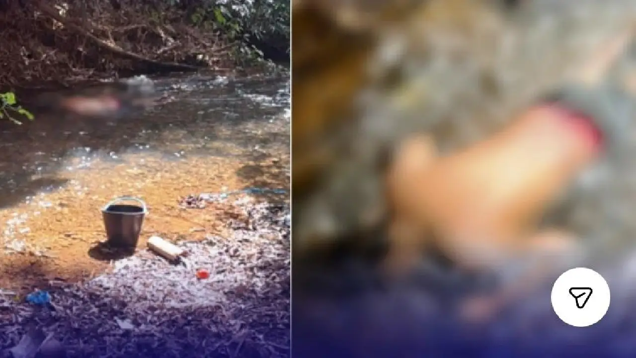 IDOSO MORRE APÓS CAIR DE PONTE SOBRE CÓRREGO NO MUNICÍPIO DE GUARDA-MOR