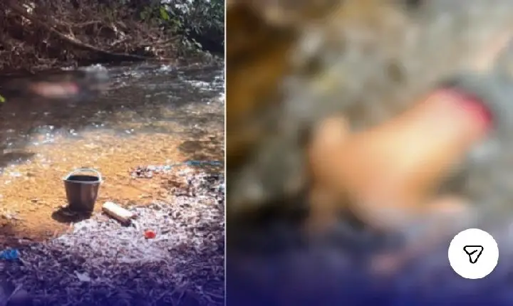 IDOSO MORRE APÓS CAIR DE PONTE SOBRE CÓRREGO NO MUNICÍPIO DE GUARDA-MOR