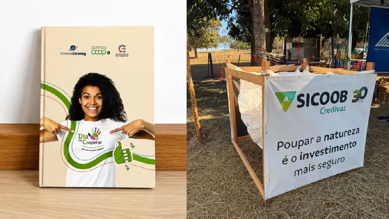 LIVRO REPERCUTE AÇÃO AMBIENTAL DO SICOOB CREDIVAZ E MADEIREIRA BRASIL MINAS