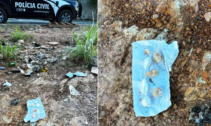 POLÍCIA CIVIL CUMPRE MANDADO JUDICIAL E APREENDE DROGAS EM VAZANTE