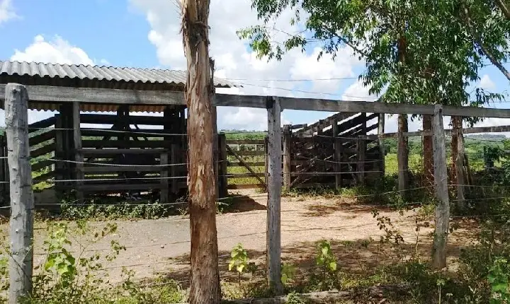 POLÍCIA PROCURA SUSPEITOS DE FURTAR 16 CABEÇAS DE GADO NO MUNICÍPIO DE PRESIDENTE OLEGÁRIO