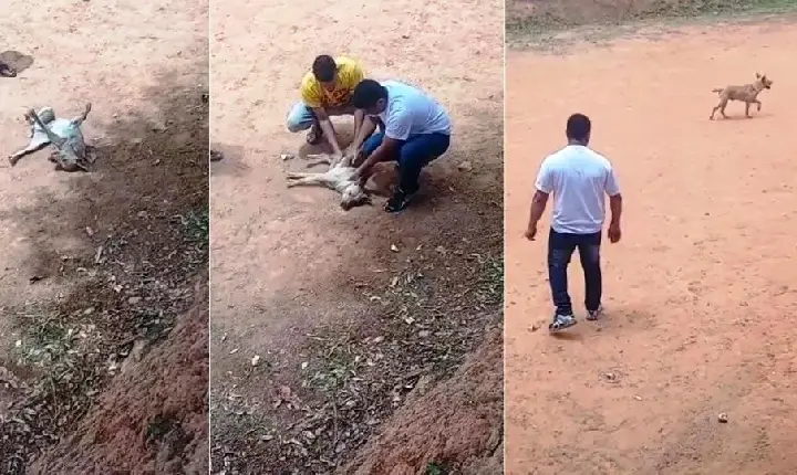 POLICIAL MILITAR SALVA VIDA DE CACHORRO QUE SOFREU MAL SÚBITO EM CAMPO DE FUTEBOL