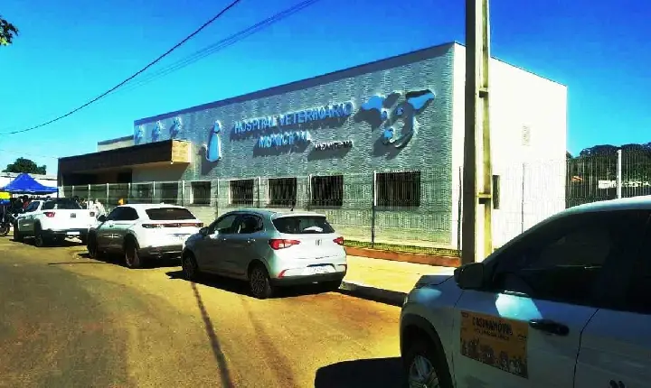 PREFEITURA ABRE INSCRIÇÕES PARA CASTRAÇÃO GRATUITA DE CÃES E GATOS EM VAZANTE