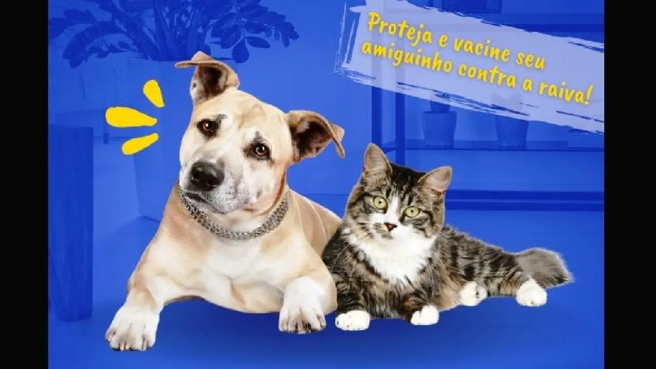 PREFEITURA DE VAZANTE INICIA CAMPANHA DE VACINAÇÃO ANTIRRÁBICA NA PRÓXIMA SEGUNDA-FEIRA (3)