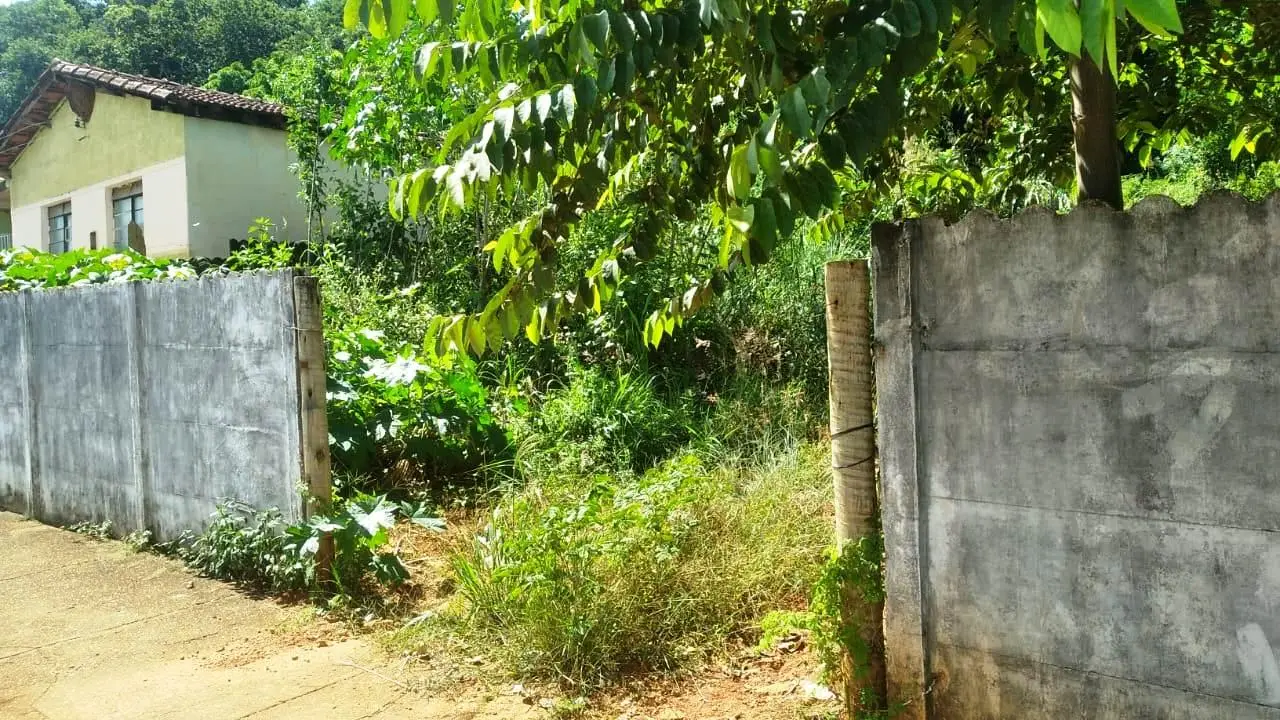 PROPRIETÁRIOS DE LOTES SUJOS PODEM SER MULTADOS PELA PREFEITURA EM VAZANTE