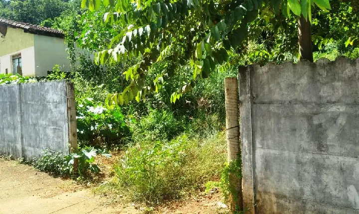 PROPRIETÁRIOS DE LOTES SUJOS PODEM SER MULTADOS PELA PREFEITURA EM VAZANTE