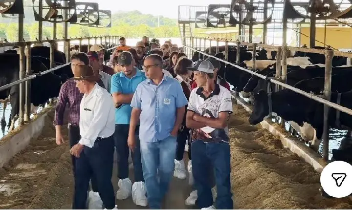 REPRESENTANTES DE ASSOCIAÇÕES RURAIS DE VAZANTE PARTICIPAM DE VISITA TÉCNICA DO PROGRAMA NEXA TRANSFORMA