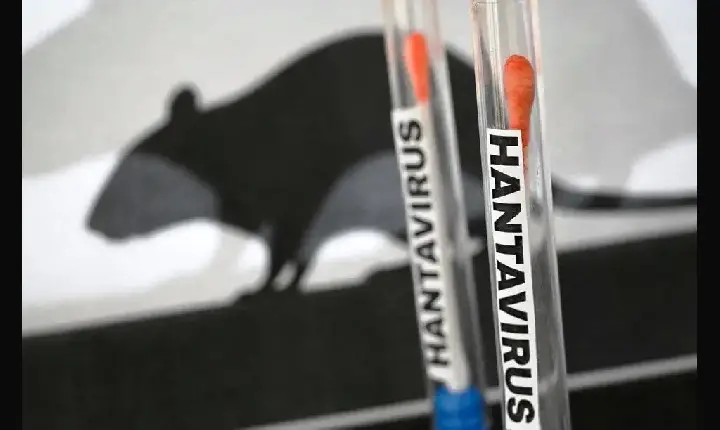 SECRETARIA ESTADUAL DE SAÚDE CONFIRMA MORTE POR HANTAVIROSE NO ALTO PARANAÍBA