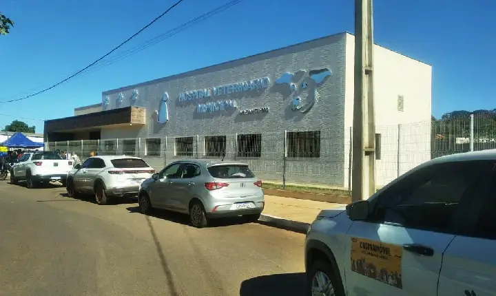 Galeria de Imagem