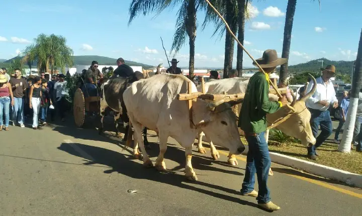 Galeria de Imagem