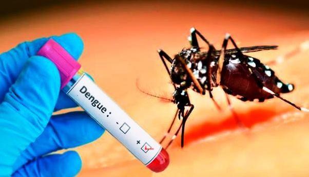 VAZANTE NOTIFICOU 199 CASOS DE DENGUE DESDE O INÍCIO DESTE ANO