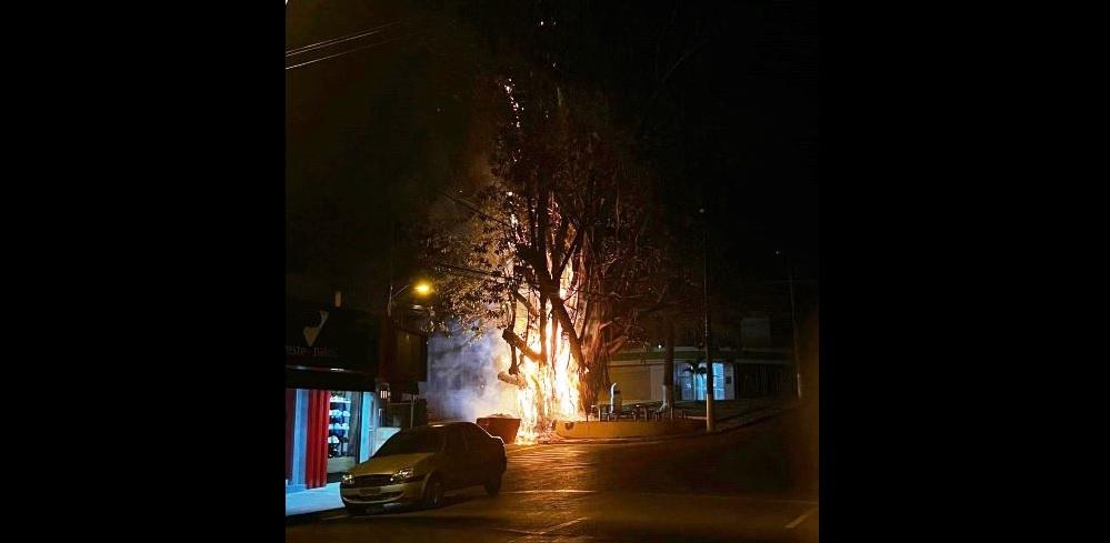INCÊNDIO POSSIVELMENTE CRIMINOSO DESTRÓI GAMELEIRA CENTENÁRIA EM PRESIDENTE OLEGÁRIO