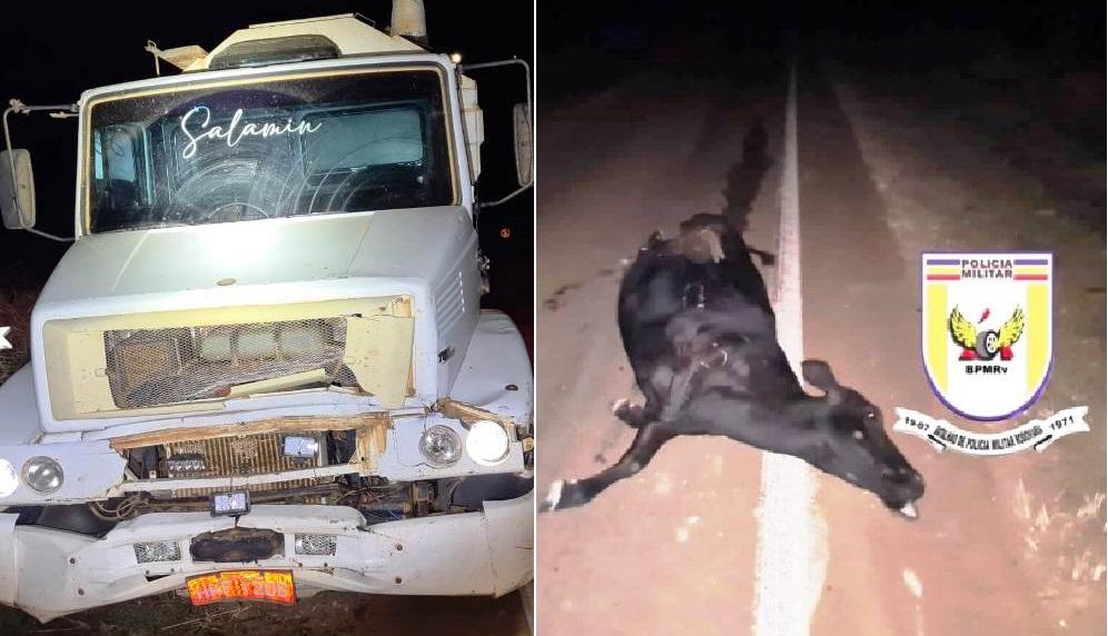 MOTORISTA DE CAMINHÃO ATROPELA E MATA VACA NA BR-352 EM COROMANDEL