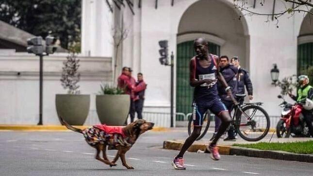 ATLETA ATACADO POR CACHORRO PERDE PRIMEIRO LUGAR EM MARATONA NA ARGENTINA