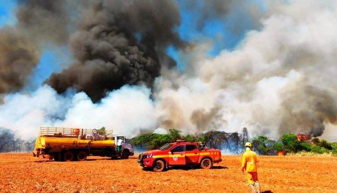 CORPO DE BOMBEIROS DEBELA INCÊNDIO FLORESTAL EM FAZENDA NO DISTRITO DE PONTE FIRME