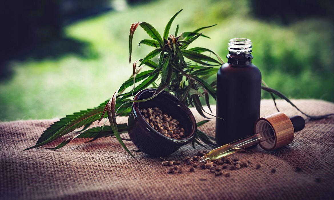 DATAFOLHA: 76% DOS BRASILEIROS SÃO FAVORÁVEIS AO USO MEDICINAL DA MACONHA