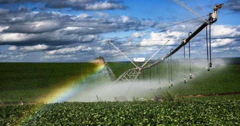 PESQUISA DO IBGE APONTA COROMANDEL E GUARDA-MOR ENTRE OS 100 MUNICÍPIOS MAIS RICOS NO AGRONEGÓCIO