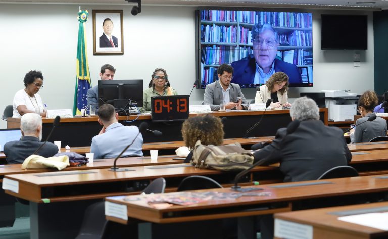 Relatora defende capacitação de agentes de segurança contra racismo