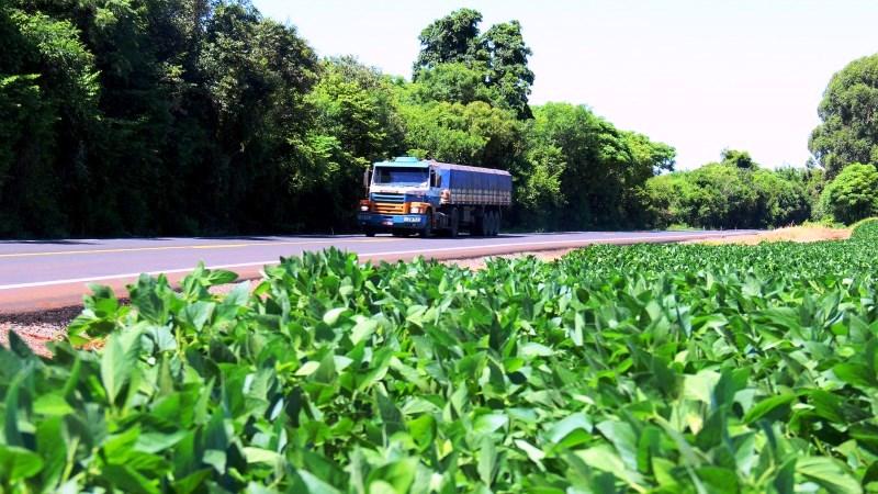 LEI PERMITE PLANTIO DE LAVOURAS ÀS MARGENS DE RODOVIAS ESTADUAIS EM MINAS GERAIS