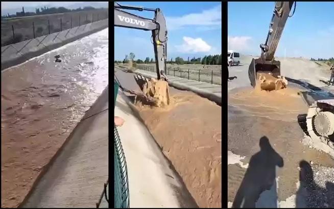 OPERADOR DE RETROESCAVADEIRA SALVA VACA QUE CAIU EM CANAL DE IRRIGAÇÃO