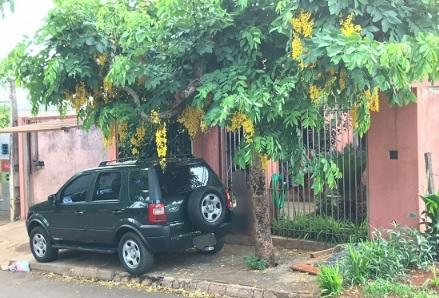 PATOS DE MINAS: RAPAZ DE 27 ANOS É MORTO A TIROS NO BAIRRO SEBASTIÃO AMORIM