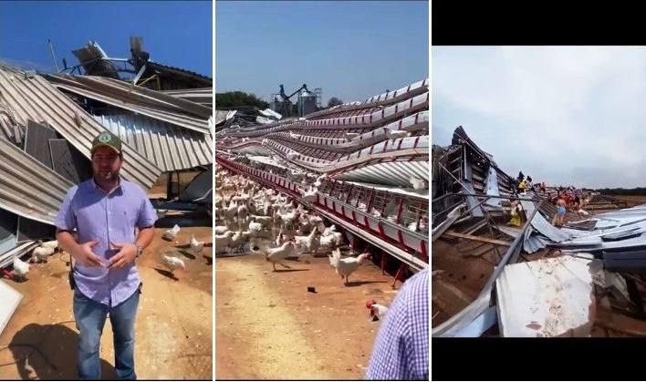 VENTOS FORTES DESTROEM GALPÃO DE GRANJA AVÍCOLA E CAUSA PREJUÍZOS EM PATROCÍNIO