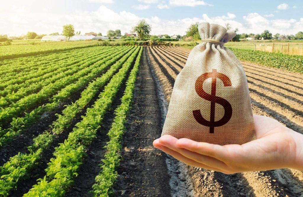 APLICAÇÃO DO ATUAL PLANO SAFRA CHEGA A R$ 186 BILHÕES EM QUATRO MESES