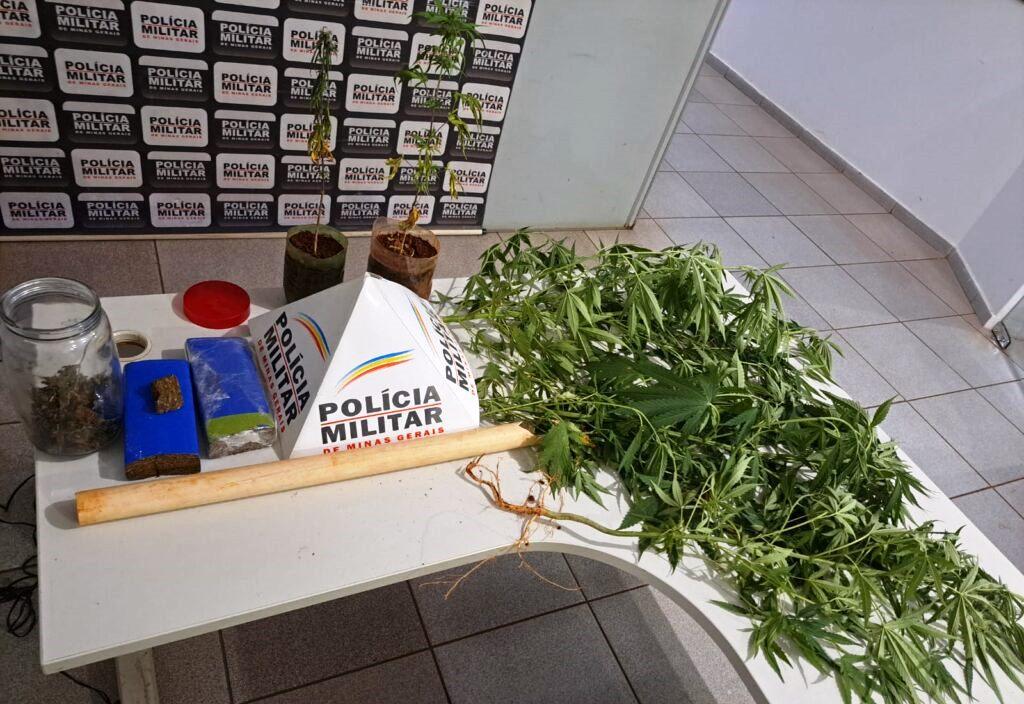 PM DE VAZANTE APREENDE PÉS DE MACONHA CULTIVADOS EM CASA NO BAIRRO MORADA DO SOL