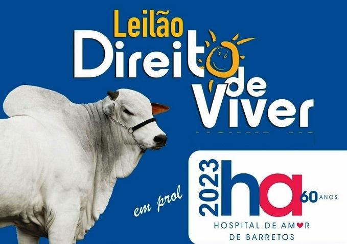 HOJE TEM LEILÃO ‘DIRETO DE VIVER’ NO PARQUE DE EXPOSIÇÕES DE VAZANTE