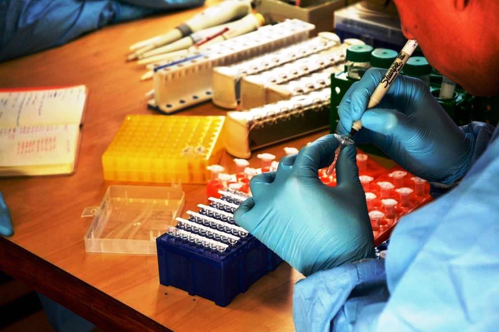 BRASIL REGISTRA PRIMEIRO CASO SUSPEITO DE ÓBITO RELACIONADO À NOVA SUBVARIANTE DA COVID-19