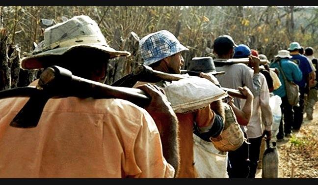 MINAS GERAIS E GOIÁS LIDERAM RESGATE DE TRABALHADORES ESCRAVIZADOS NO PAÍS