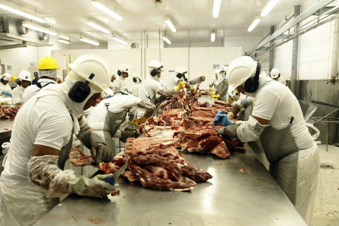 GOVERNO BRASILEIRO ABRE MERCADO PARA EXPORTAÇÃO DE CARNES PARA O EGITO