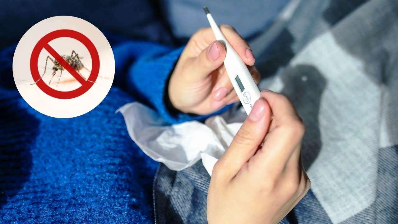 LEVANTAMENTO DA VIGILÂNCIA SANITÁRIA APONTA ALTO RISCO DE EPIDEMIA DE DENGUE EM VAZANTE