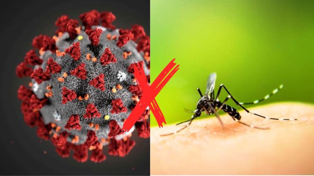 PARACATU REGISTRA AUMENTO SIGNIFICATIVO DE CASOS DE COVID-19 E DENGUE