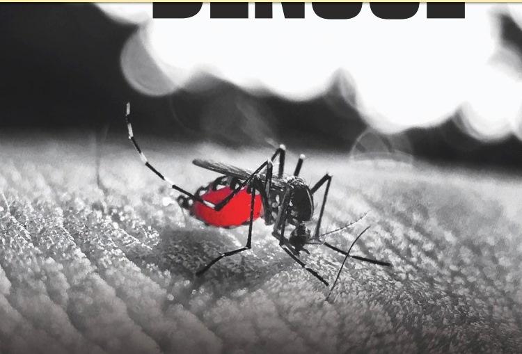 DADOS DA SES-MG APONTAM QUE VAZANTE JÁ NOTIFICOU 439 CASOS DE DENGUE EM 2024