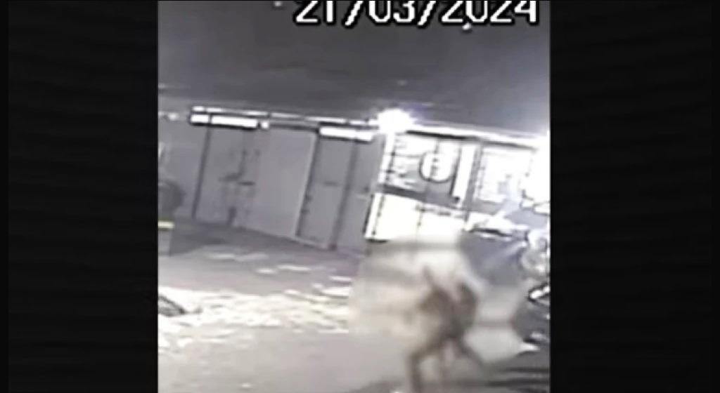 POLICIAIS CIVIS DE GRUPO DE ELITE BRIGAM POR CAUSA DA ESCALA DE FOLGA DA PÁSCOA