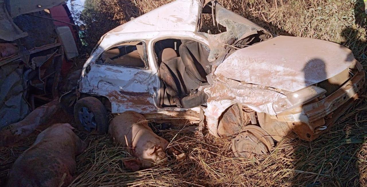 ACIDENTE COM CAMINHÃO DE SUÍNOS FERE TRÊS PESSOAS E MATA VÁRIOS ANIMAIS