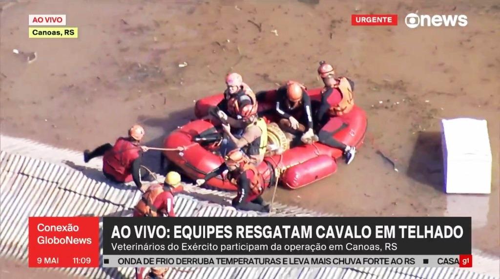 CHUVAS NO SUL: ÉGUA ILHADA EM TELHADO É RESGATADO POR MILITARES DO EXÉRCITO E BOMBEIROS