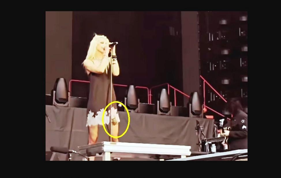 CANTORA É MORDIDA POR MORCEGO NA ABERTURA DE SHOW DA BANDA AC/DC