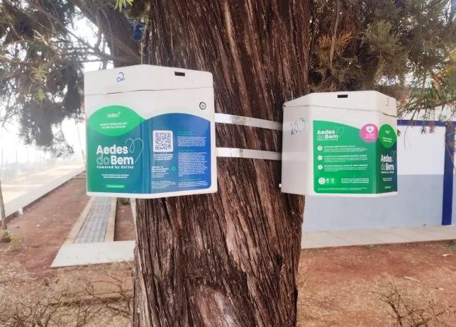 PATOS DE MINAS USA CONTROLE BIOLÓGICO COM ‘MOSQUITO DO BEM’ CONTRA DENGUE
