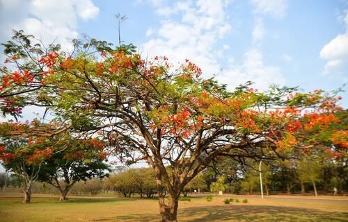 PRIMAVERA COMEÇA COM TEMPERATURAS ACIMA DA MÉDIA