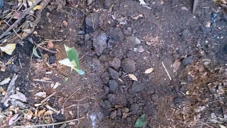 TRIÂNGULO AMOROSO TERMINA EM MORTE E PRISÕES EM SÃO GOTARDO