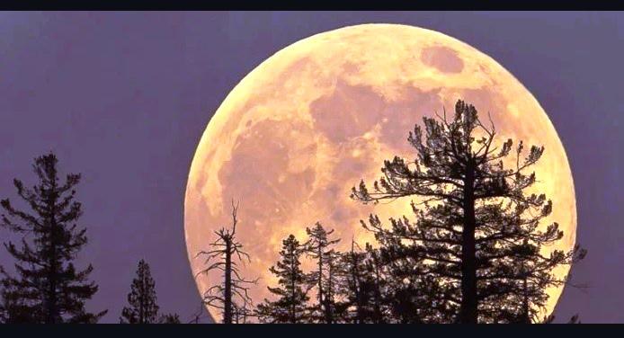SUPERLUA DESTA SEMANA SERÁ A MAIOR E MAIS BRILHANTE DO ANO